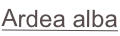 shapeimage_2_link_0