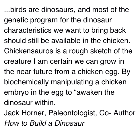 ...birds are dinosaurs, and most of the genetic program for the dinosaur characteristics we want to bring back should still be available in the chicken. Chickensauros is a rough sketch of the creature I am certain we can grow in the near future from a chicken egg. By biochemically manipulating a chicken embryo in the egg to “awaken the dinosaur within.                                                            Jack Horner, Paleontologist, Co- Author How to Build a Dinosaur 